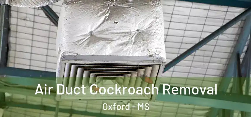  Air Duct Cockroach Removal Oxford - MS