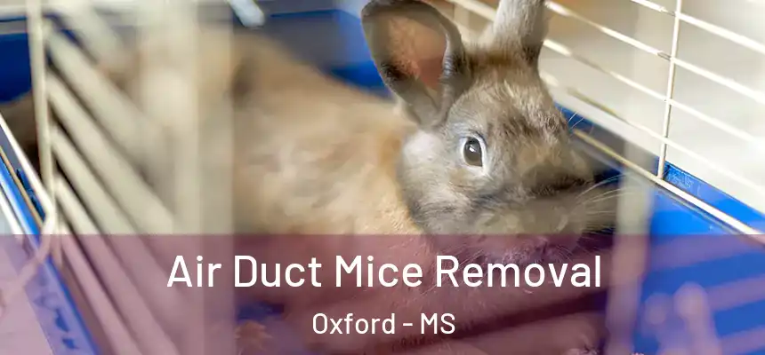  Air Duct Mice Removal Oxford - MS