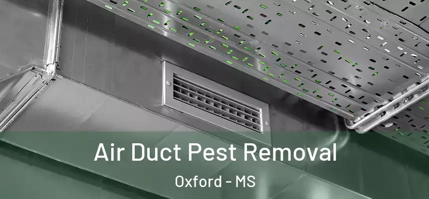  Air Duct Pest Removal Oxford - MS