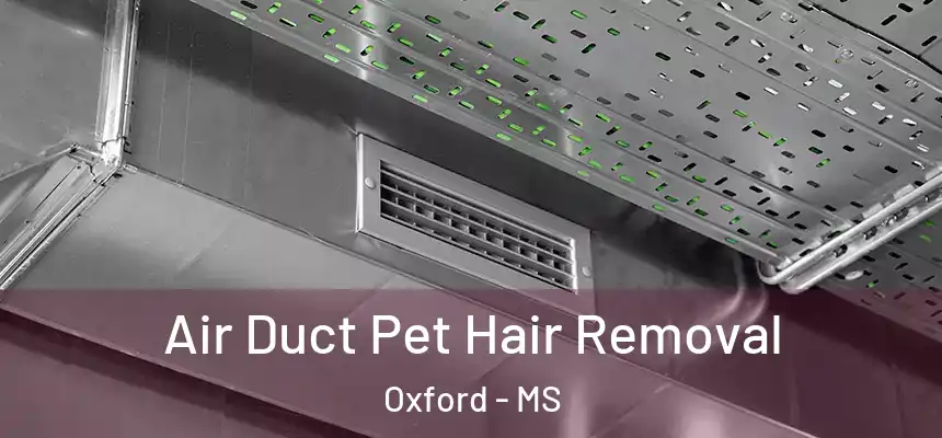  Air Duct Pet Hair Removal Oxford - MS