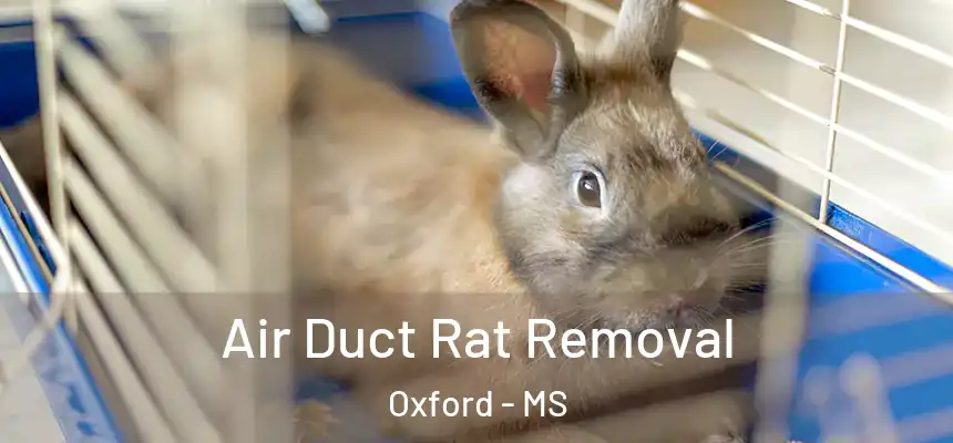  Air Duct Rat Removal Oxford - MS