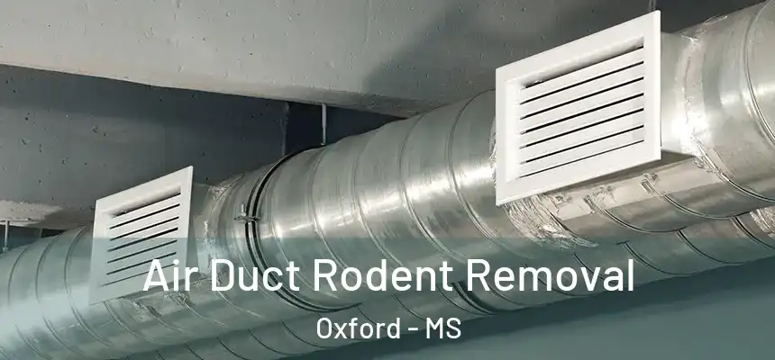  Air Duct Rodent Removal Oxford - MS
