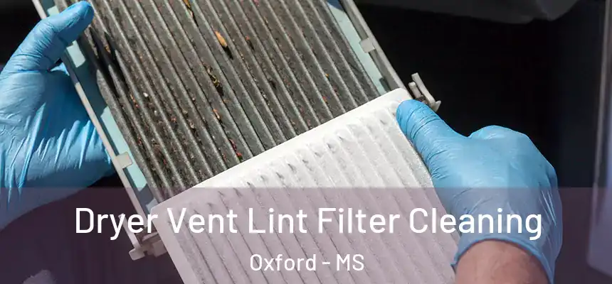  Dryer Vent Lint Filter Cleaning Oxford - MS