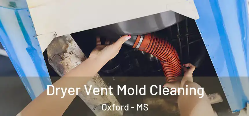  Dryer Vent Mold Cleaning Oxford - MS