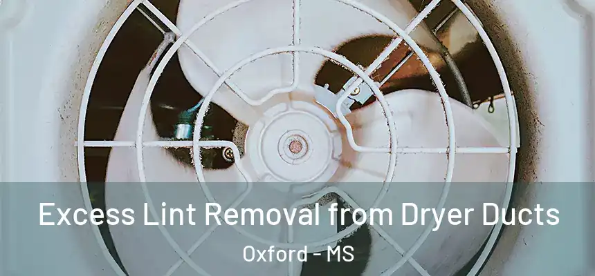 Excess Lint Removal from Dryer Ducts Oxford - MS