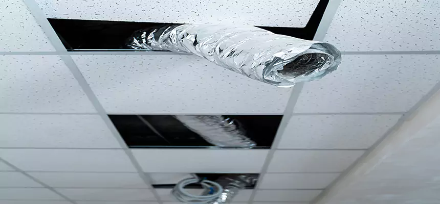 Our Air Duct Pet Hair Removal Services in Oxford, MS