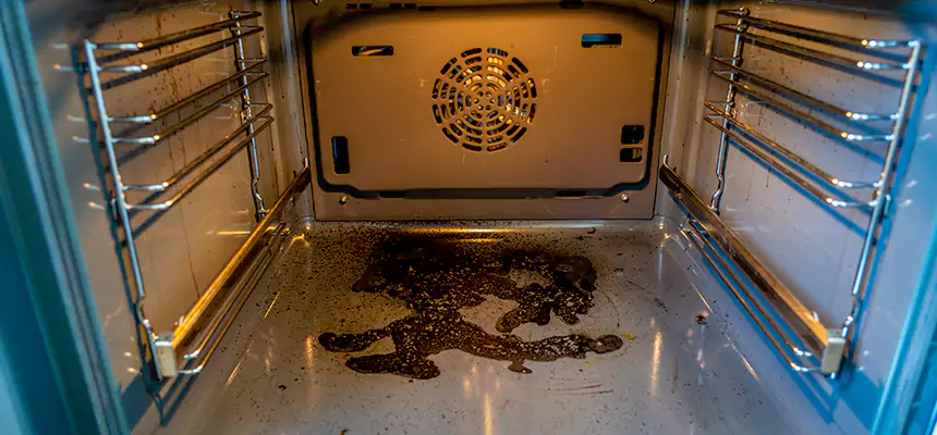 Our Dryer Vent Mold Cleaning Services in Oxford, MS