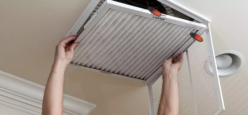 Our Insect Removal from Air Ducts Services in Oxford, MS