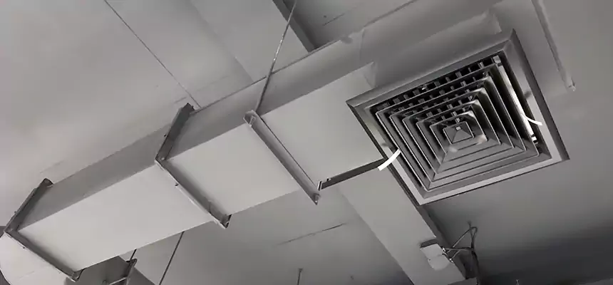 Our Pest Removal From Ducts Services in Oxford, MS