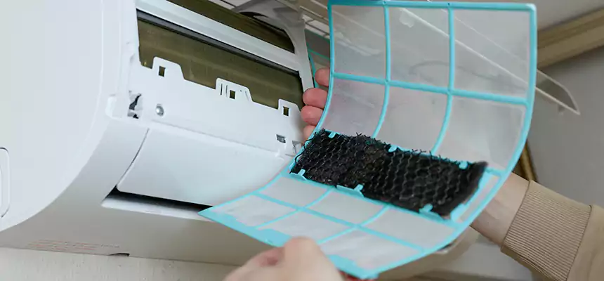 Gentle Ductwork Odor-Control Pet Dander Duct Cleaning in Oxford, MS