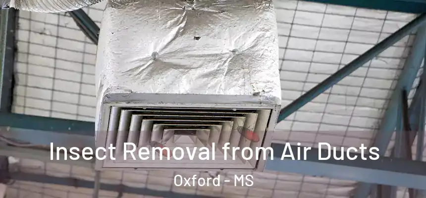 Insect Removal from Air Ducts Oxford - MS