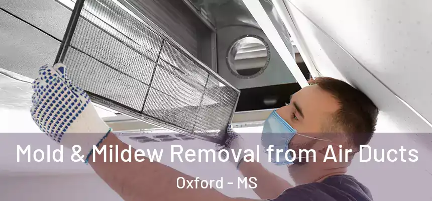  Mold & Mildew Removal from Air Ducts Oxford - MS