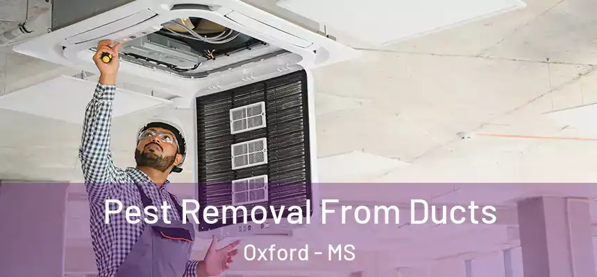  Pest Removal From Ducts Oxford - MS
