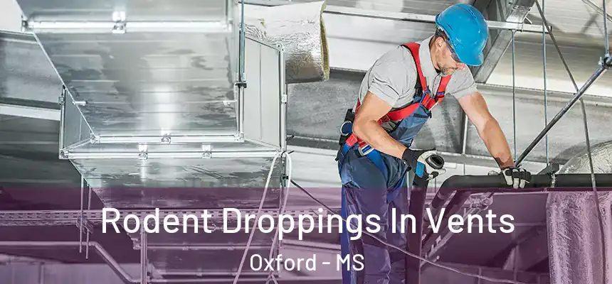  Rodent Droppings In Vents Oxford - MS