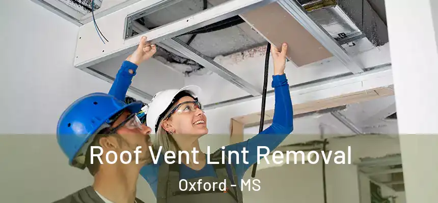 Roof Vent Lint Removal Oxford - MS