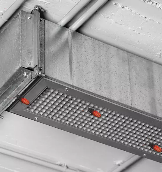 About Air Duct Cockroach Removal in Oxford, MS