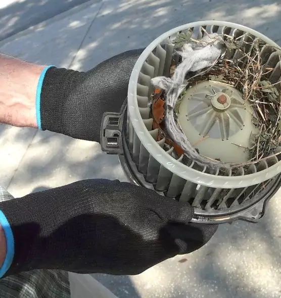 About Air Duct Mice Removal in Oxford, MS