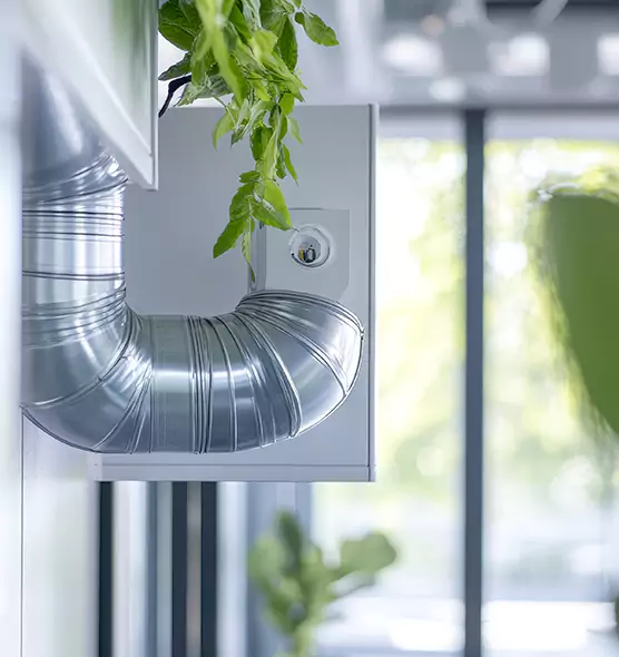 Professional Eco-Safe Dryer Vent Cleaning in Oxford, MS