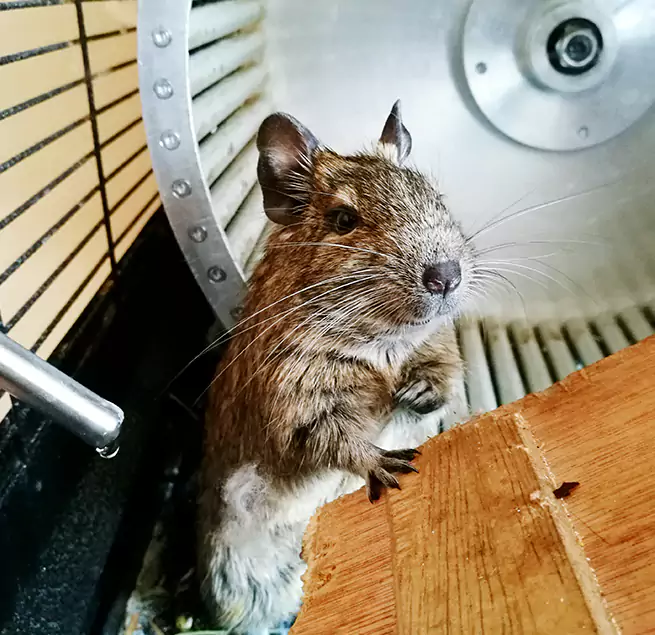 Why Homeowners & Businesses Trust Us Oxford, MS