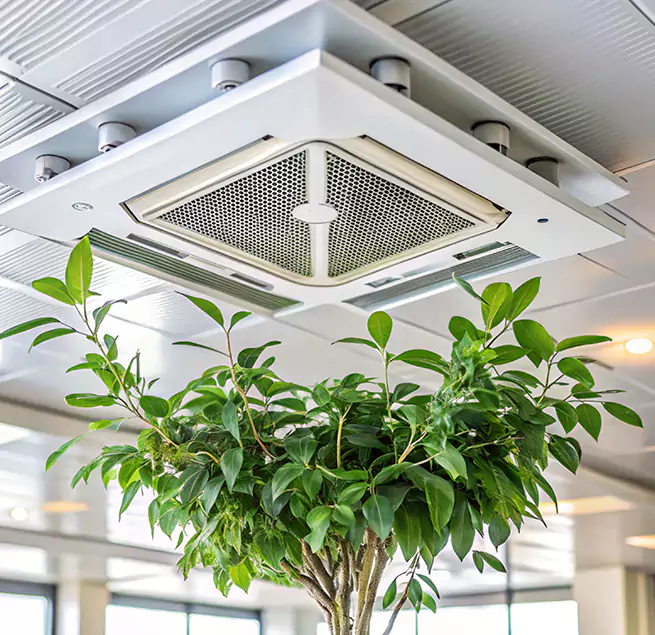 Why Homeowners & Businesses Trust Us in Oxford, MS?