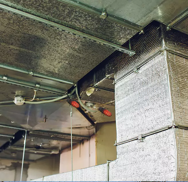 Why Homeowners & Businesses Trust Us Oxford, MS?